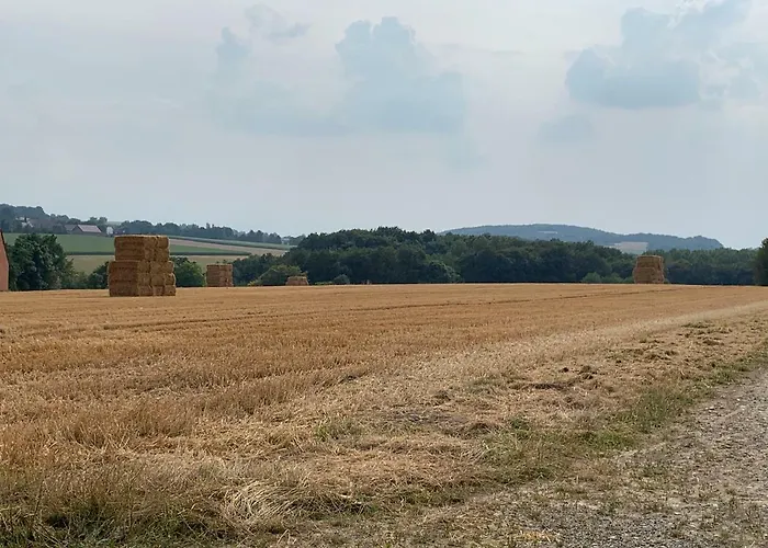 Appartamento Am Bramschebach Lohne (North Rhine-Westphalia)