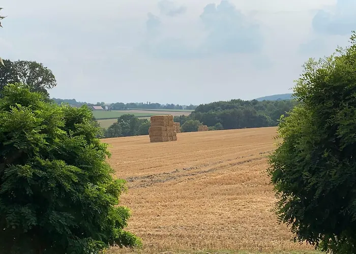 Appartamento Am Bramschebach Lohne (North Rhine-Westphalia)